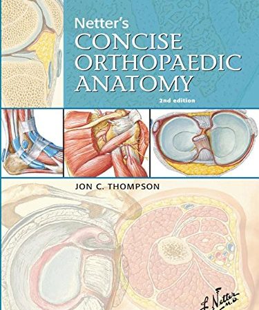 Netter's Concise Orthopaedic Anatomy