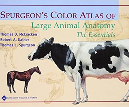 Spurgeon's Color Atlas of Large Animal Anatomy: The EssentialS