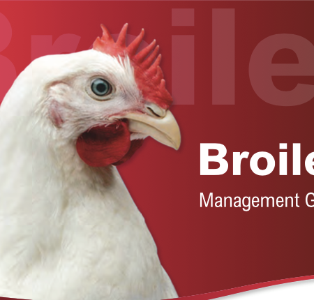 Broiler management guide