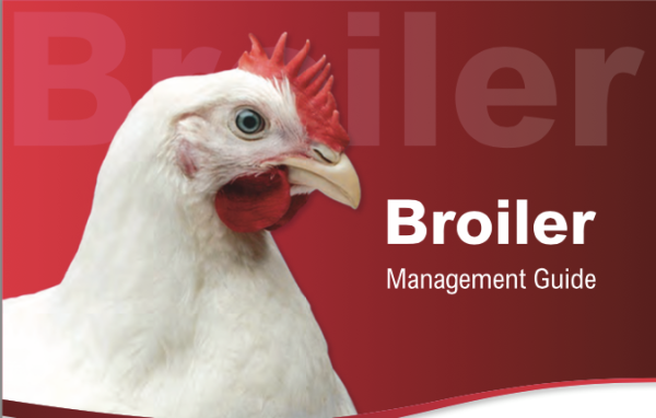 Broiler management guide