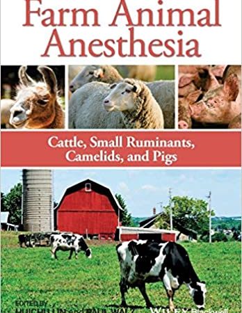 Farm Animal Anesthesia