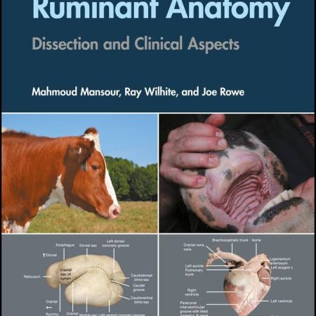 Guide To Ruminant Anatomy