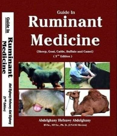 guide in ruminant medicine