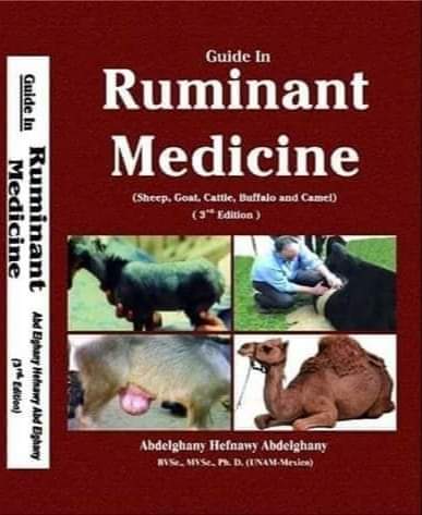 guide in ruminant medicine