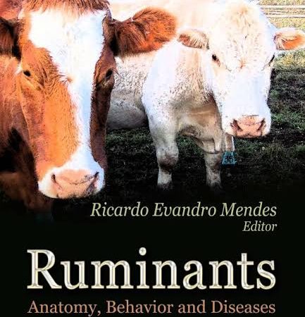 Ruminants Anatomy, Behavior and Diseases