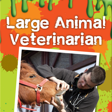 Large animal veterinarian