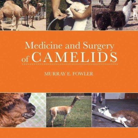 Medicine and surgery of camelid