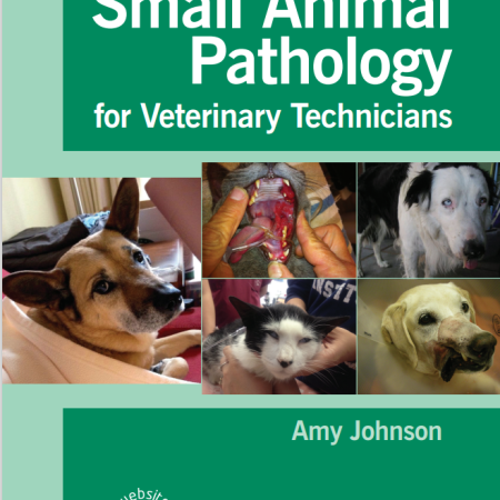 Small Animal Pathology