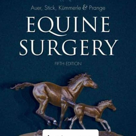 equine surgery