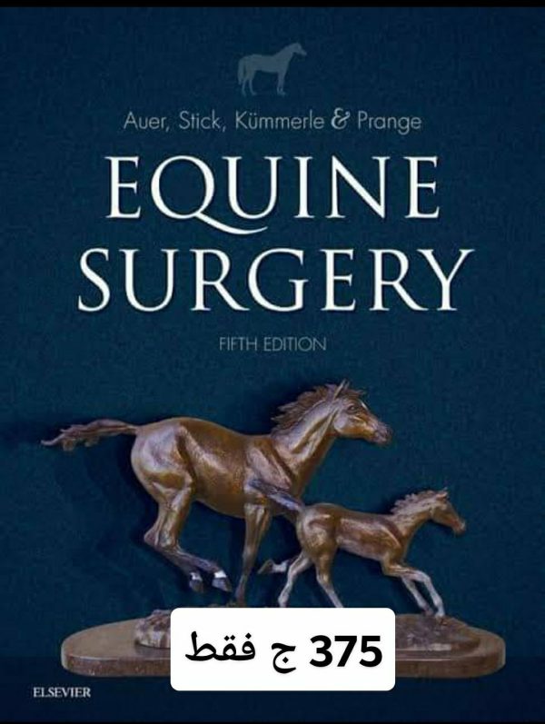 equine surgery