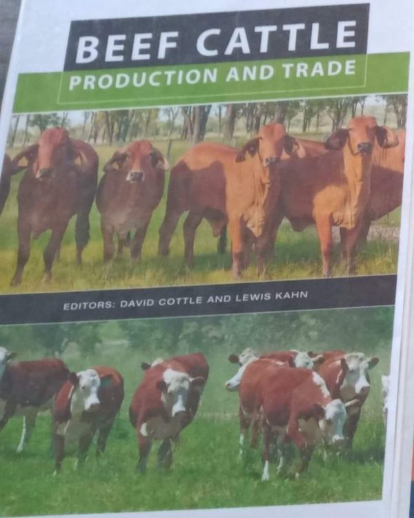 beef cattle production and trade