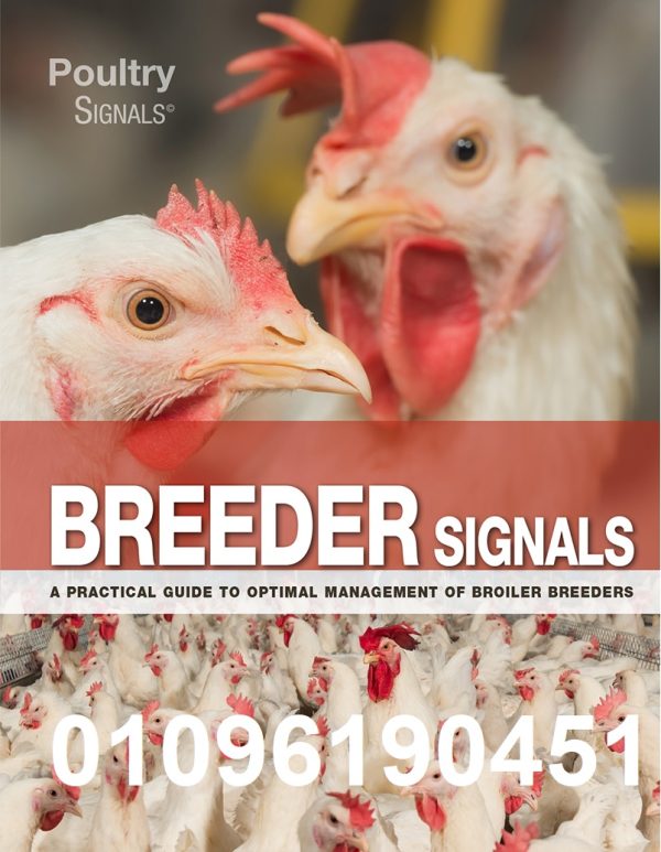 Breeder Signals