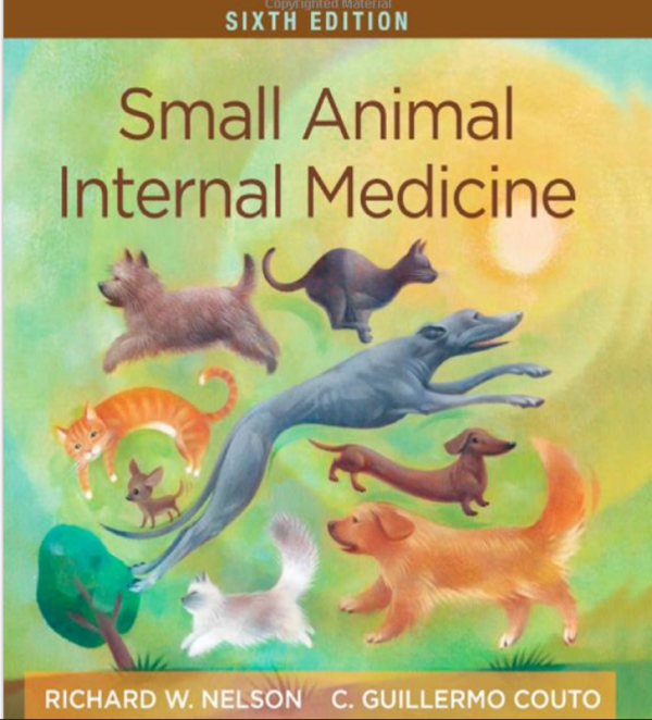 small animal internal medicine