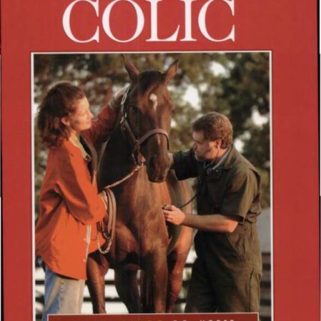 Understanding Equine Colic