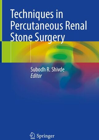 Techniques in Percutaneous Renal Stone Surgery